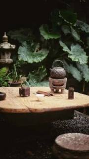 Matcha Cafe