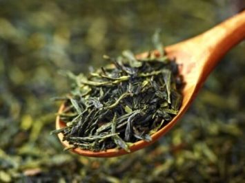 matcha history