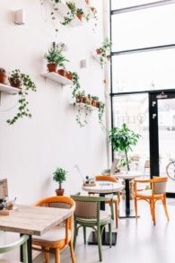 ร้านชา 