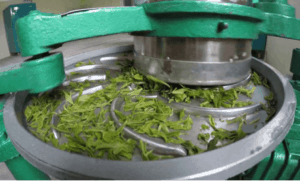 Tea Processing