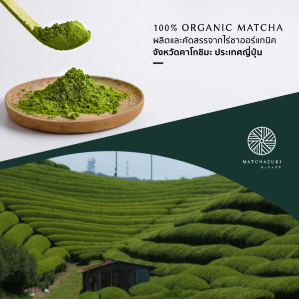 Matcha-organic-Info-02