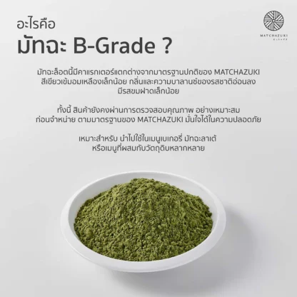 B Grade – Online Info Card-04